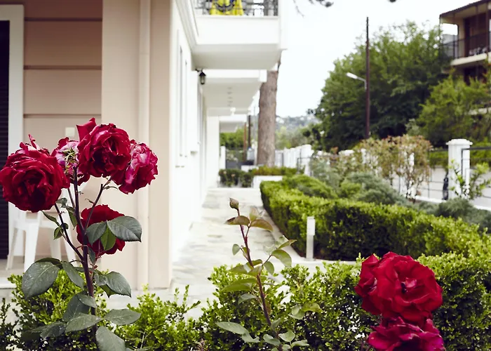 Aparthotel Somnia 3*